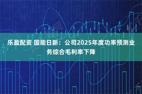 乐盈配资 国能日新：公司2025年度功率预测业务综合毛利率下降